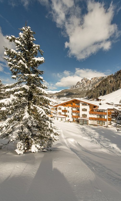 Peaceful locationin Selva